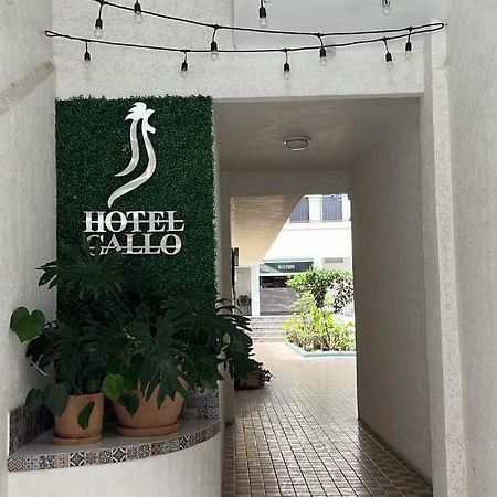 Hotel Gallo Guadalajara Eksteriør billede