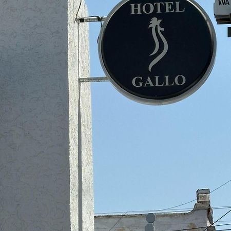 Hotel Gallo Guadalajara Eksteriør billede