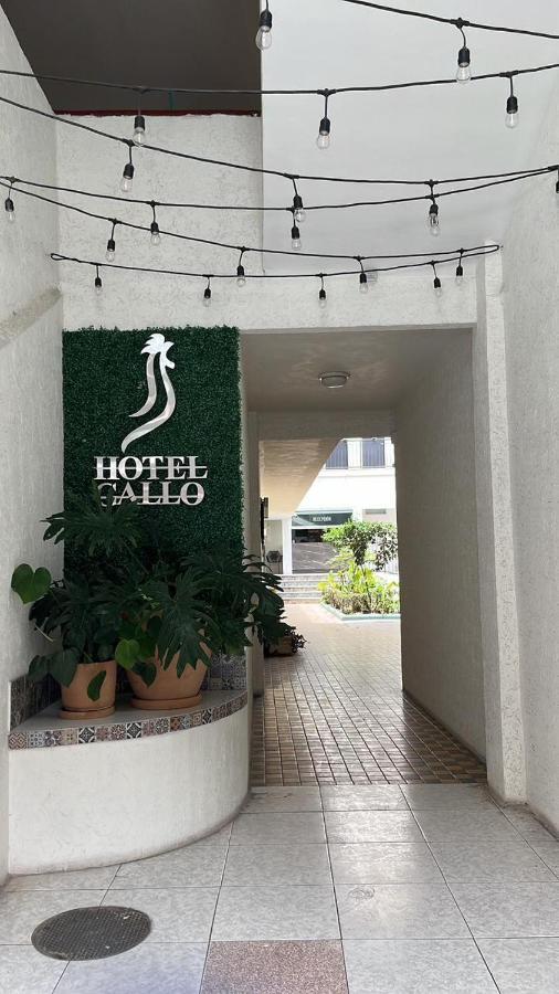 Hotel Gallo Guadalajara Eksteriør billede