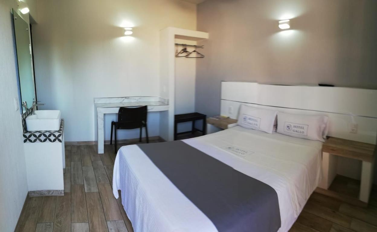 Hotel Gallo Guadalajara Eksteriør billede