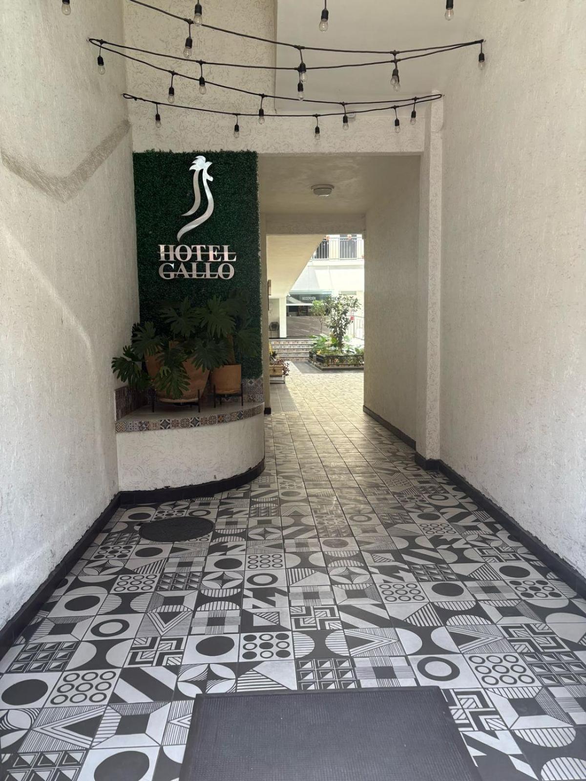 Hotel Gallo Guadalajara Eksteriør billede